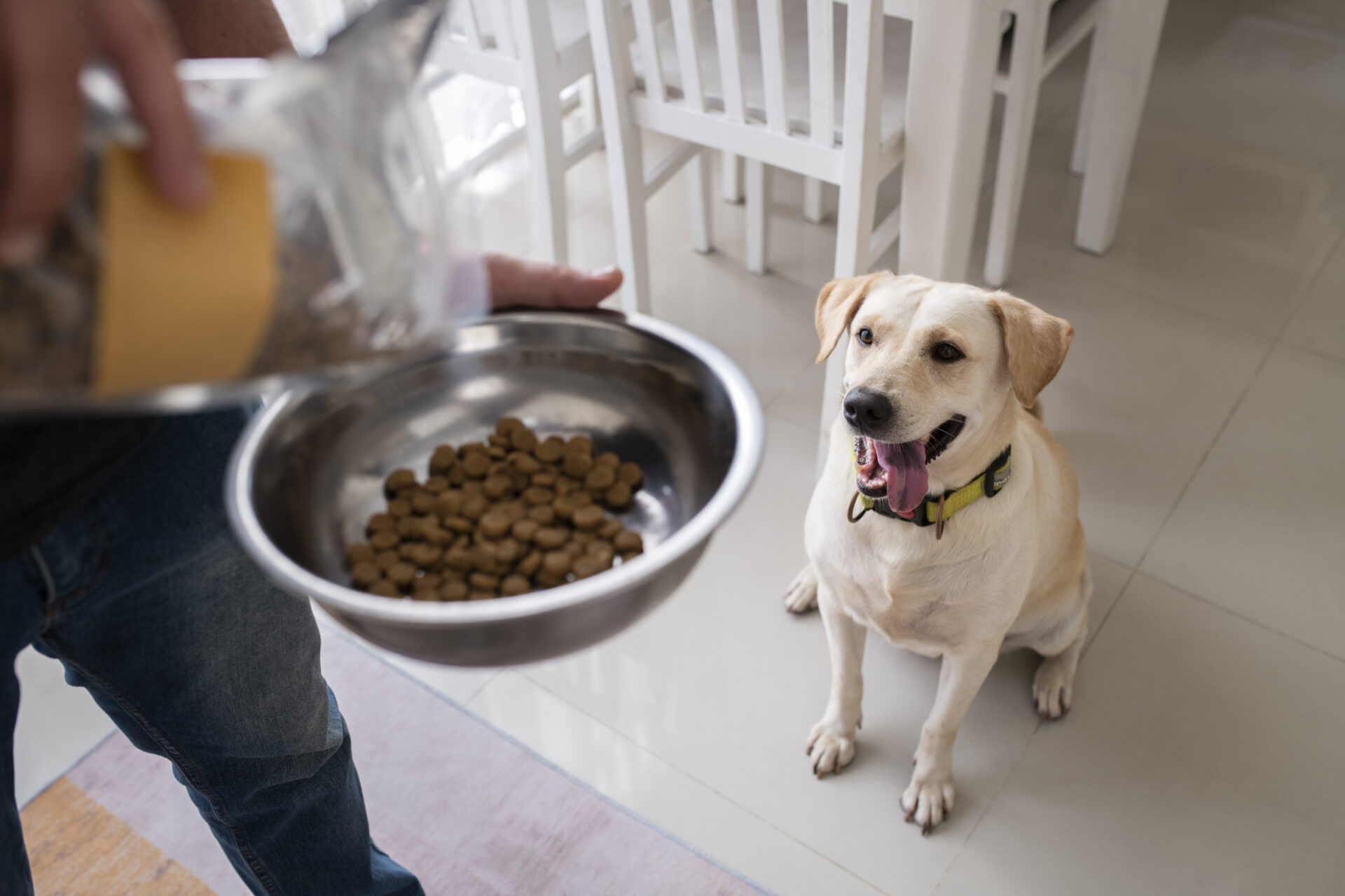 How to Order Nature’s Blend Dog Food Canada with Ease